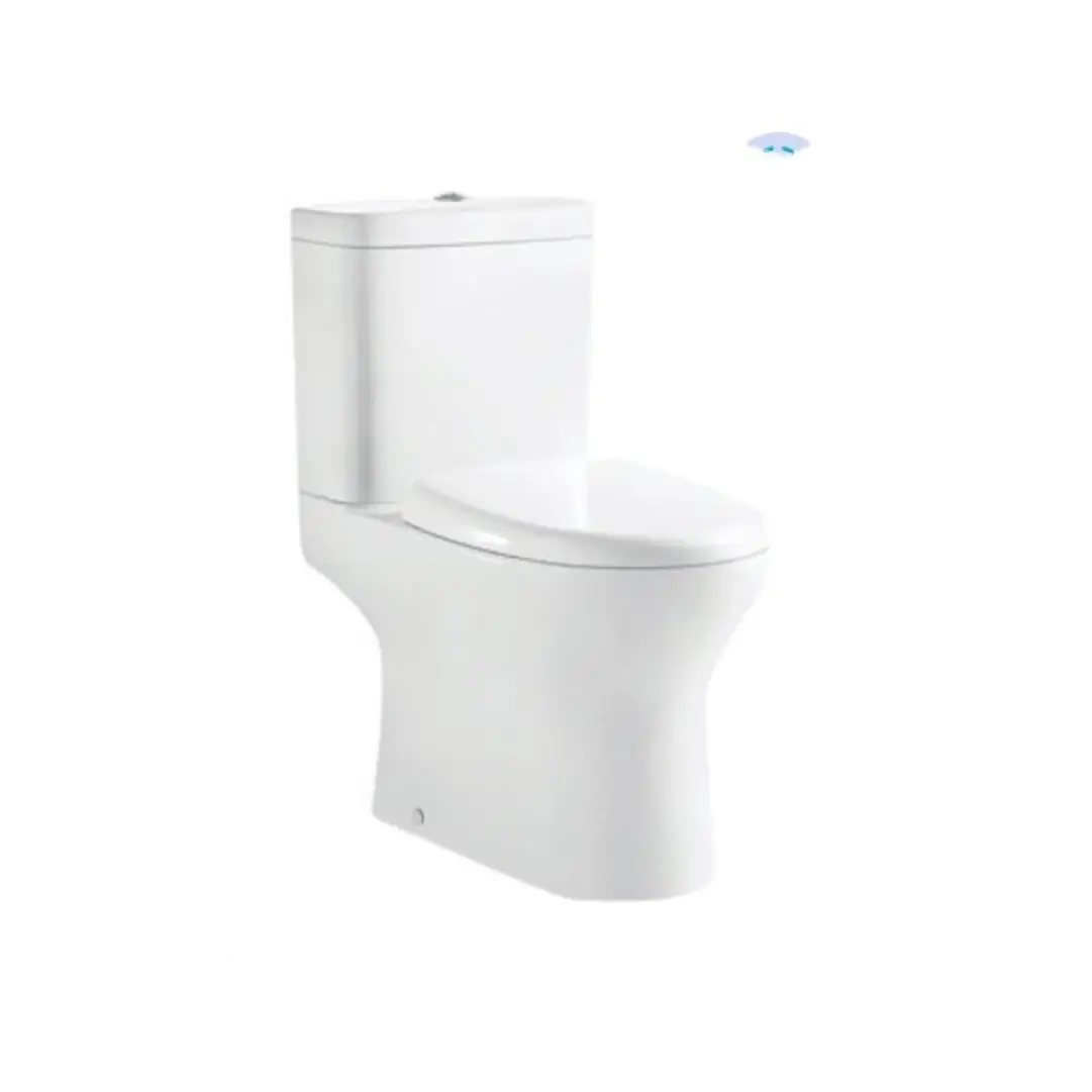 Italian Standards Cefion one-Piece Toilet Wash-down with GEBERIT
