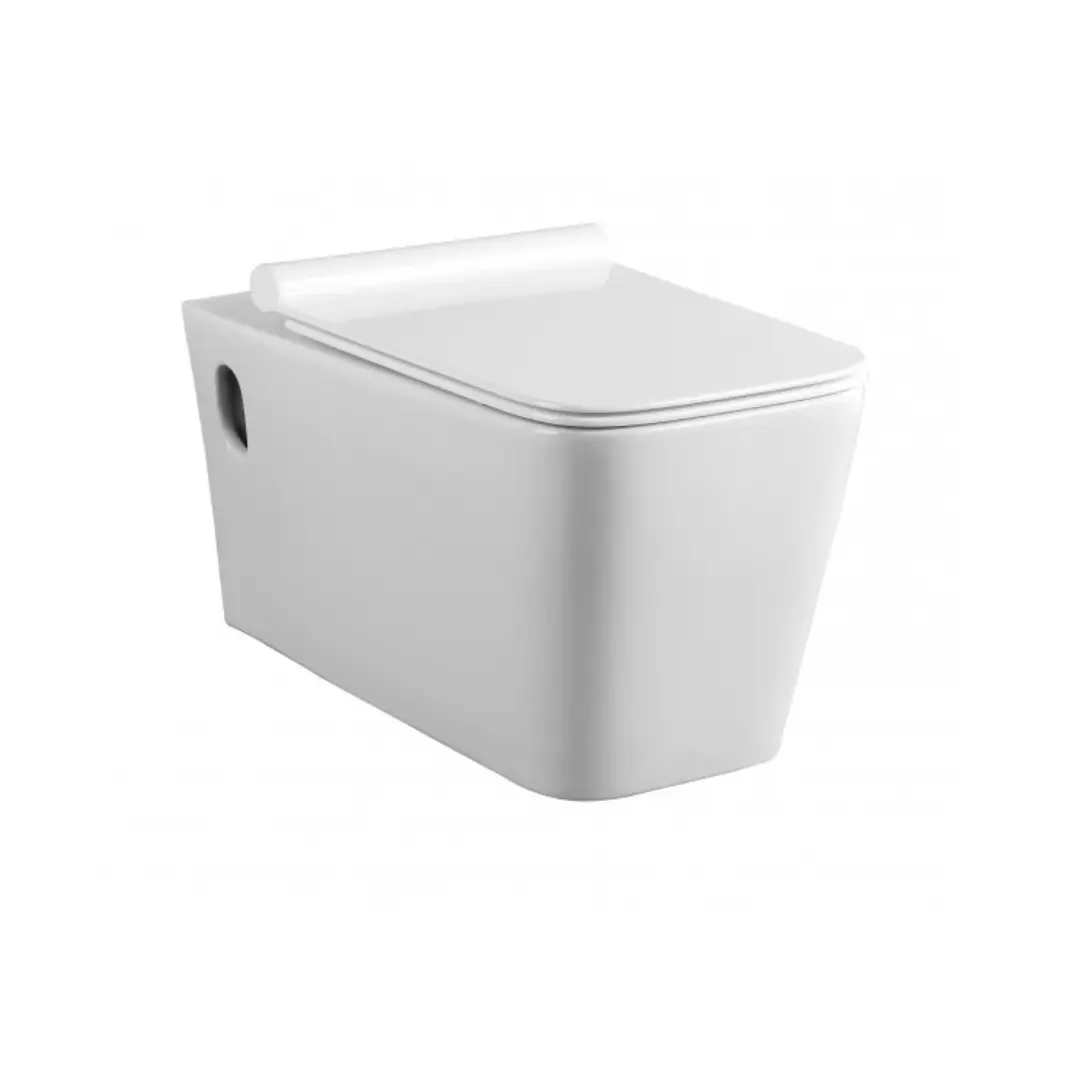 Italian Standards Compaqt Wall-Hung Toilet with UF Seat