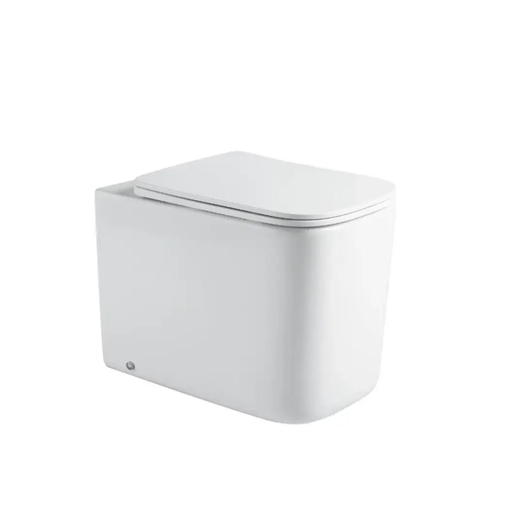 Italian Standards Feeling Rimless Back to Wall