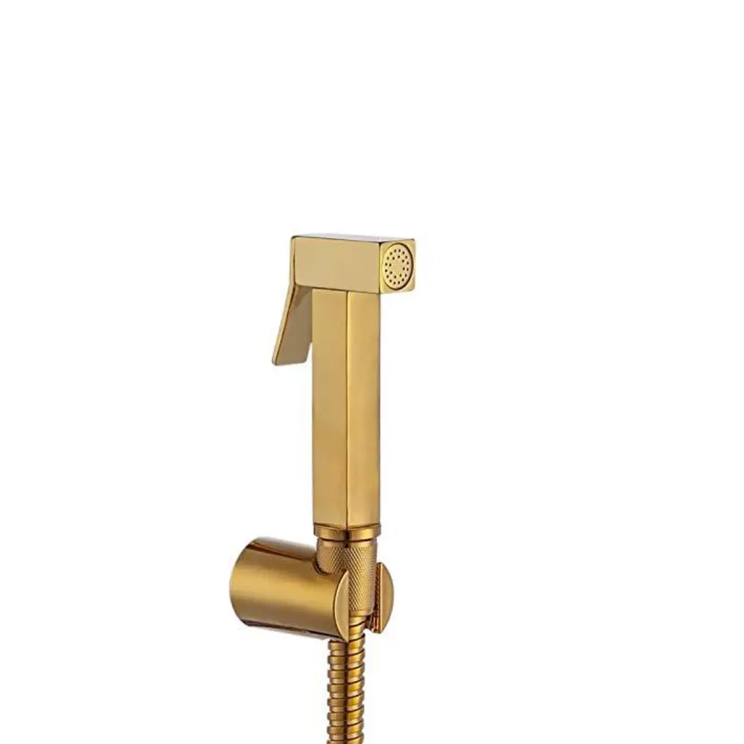 TAGUS Stainless steel health faucet with Gold finish