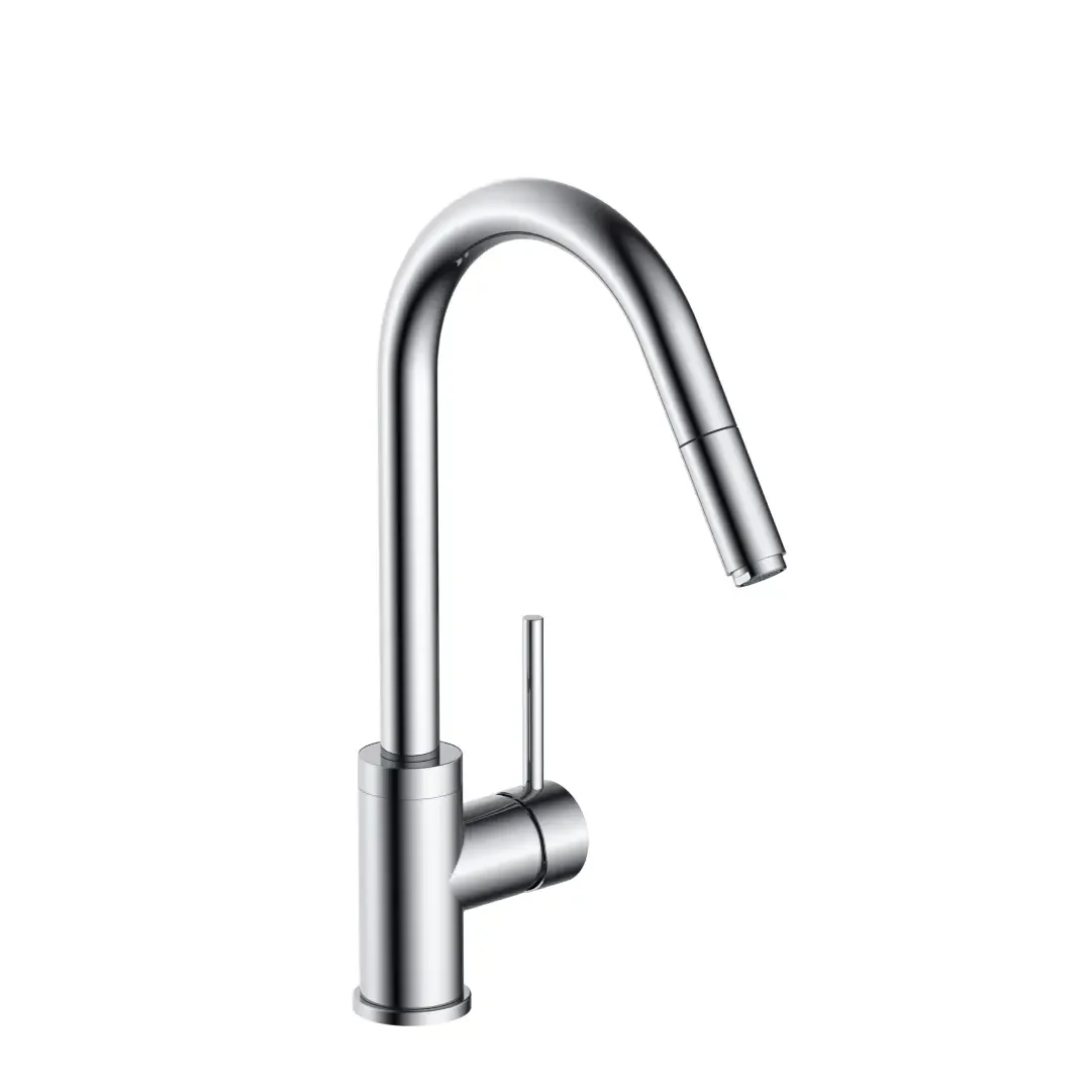 Hesanit Pull-out Kitchen Mixer