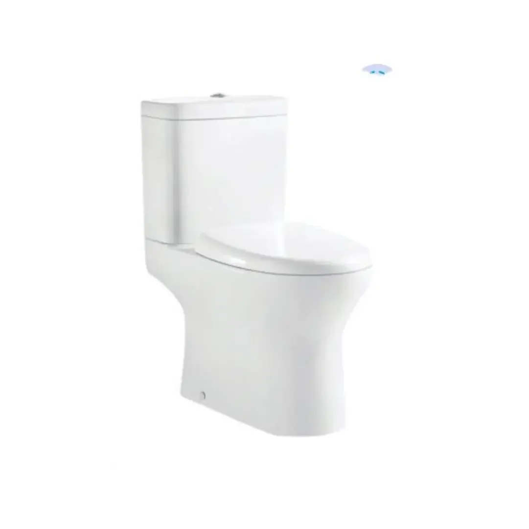 Italian Standards Cefion one-Piece Toilet Wash-down with GEBERIT