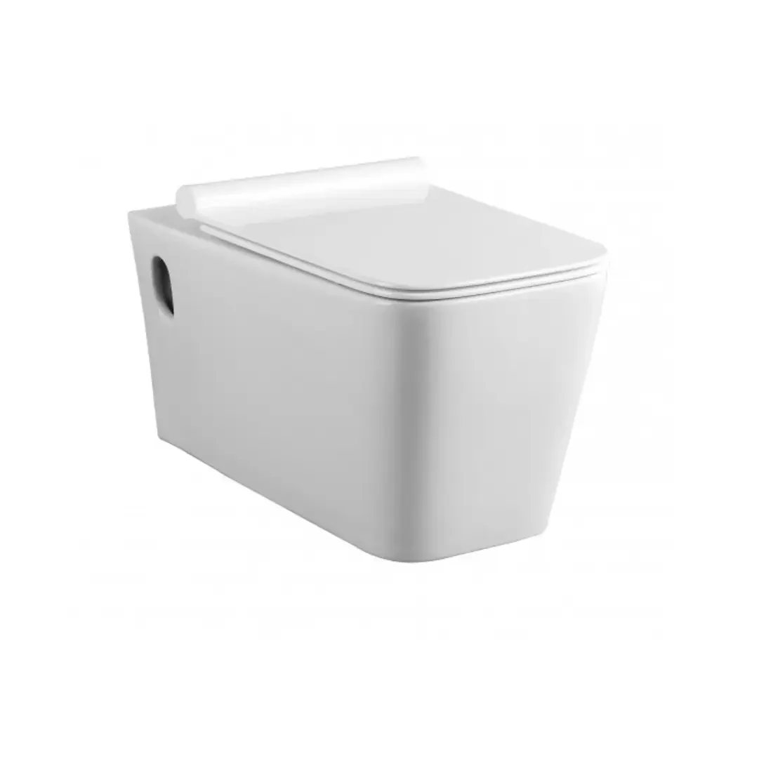 Italian Standards Compaqt Wall-Hung Toilet with UF Seat
