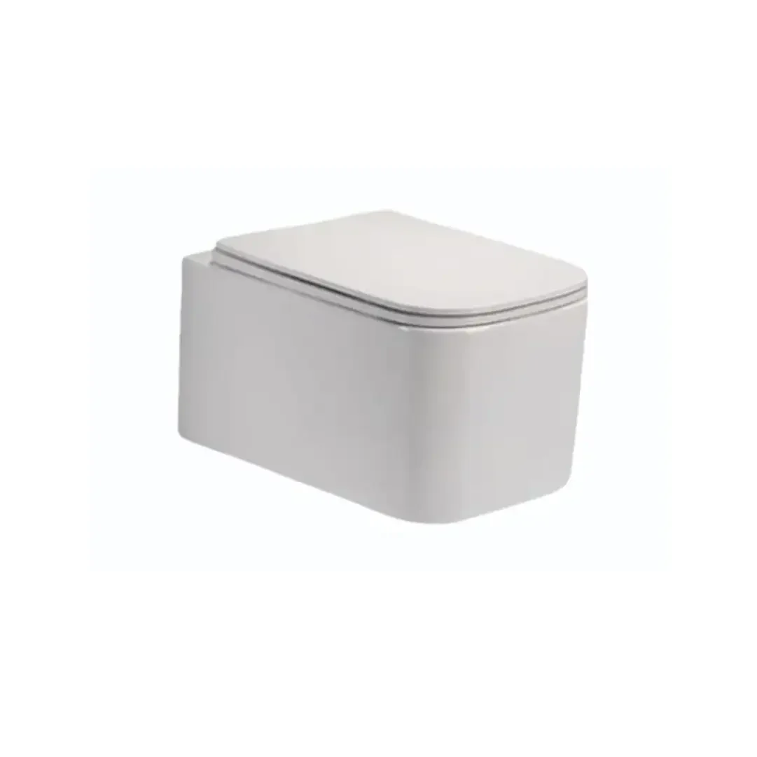 Italian Standards Feeling Rimless Wall-Hung Toilet with UF Seat
