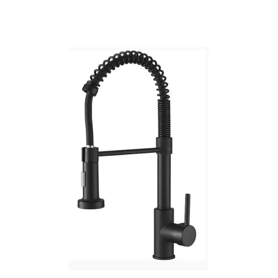 TAGUS LIO Series Pull-Out Sink Mixer